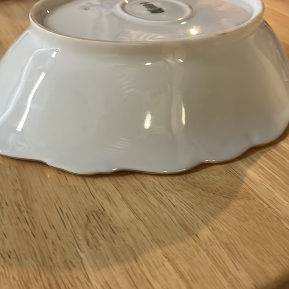 Vintage Schumann Arzberg Bavaria Hand-painted WILD ROSE Oval Relish/Celery Dish. - Picture 6 of 10